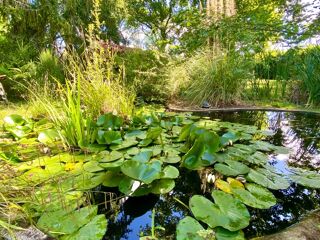  Maison  vendre 6 pices 260 m