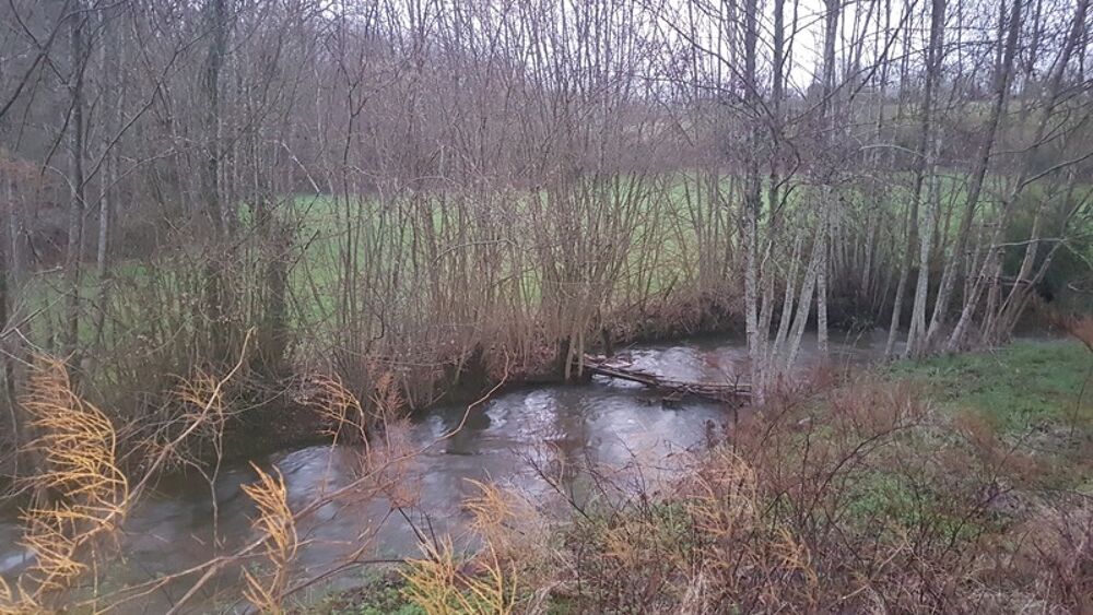 Vente Maison Corps de ferme � r�nover sur un terrain de 13.000 m� Fenioux