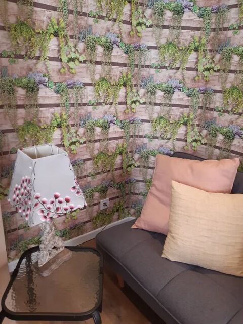  Appartement � louer 1 pi�ce 12 m�