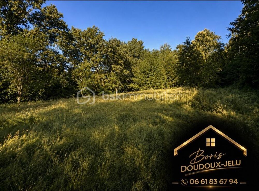 Vente Terrain TERRAIN DE LOISIRS, ENCLOS POUR CHEVAUX Neufmanil