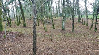  Terrain � vendre 1255 m�