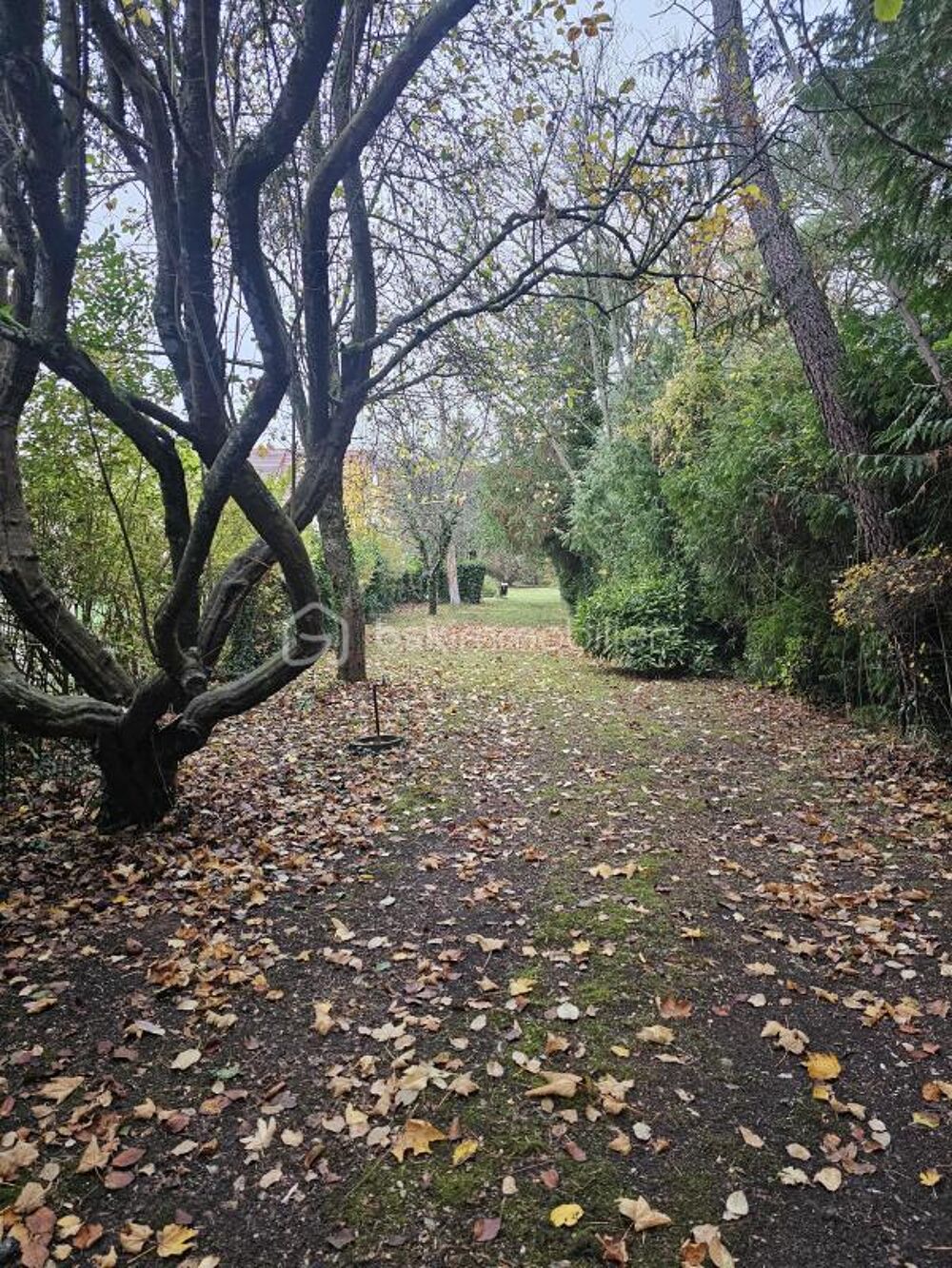 Vente Terrain Terrain à bâtir - Pommeuse - 997 m² – Viabilisé Pommeuse