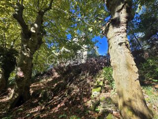  Immeuble � vendre 15 + pi�ces 1500 m�