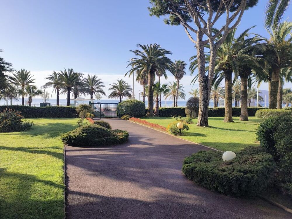 Location Appartement Studio de 21m2 à louer sur Cannes Cannes
