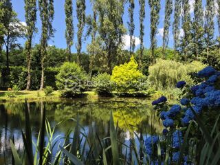  Propri�t�/ch�teau � vendre 9 pi�ces 223 m�
