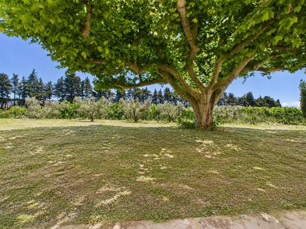 Vente Maison EXCLUSIVITE // mas Robion 6 pièce(s) 230 m² Robion