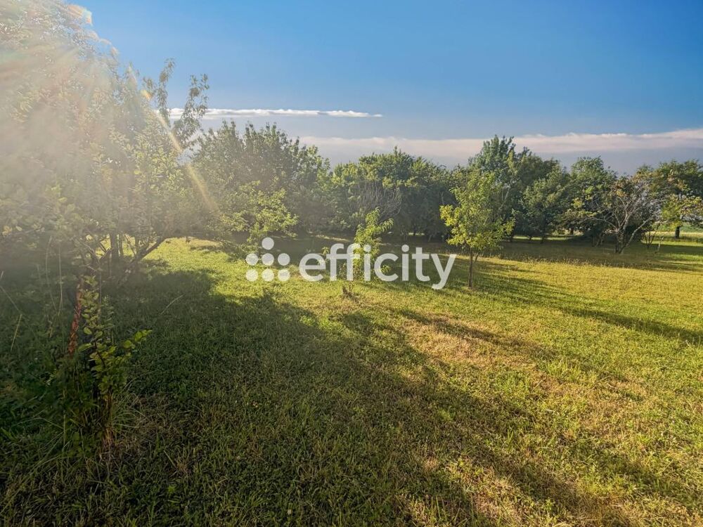 Vente Terrain Terrain Montils