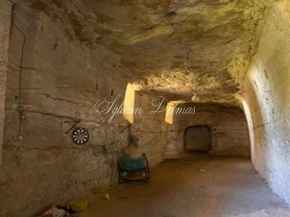 � vendre  Propri�t�/ch�teau Amboise (37400)