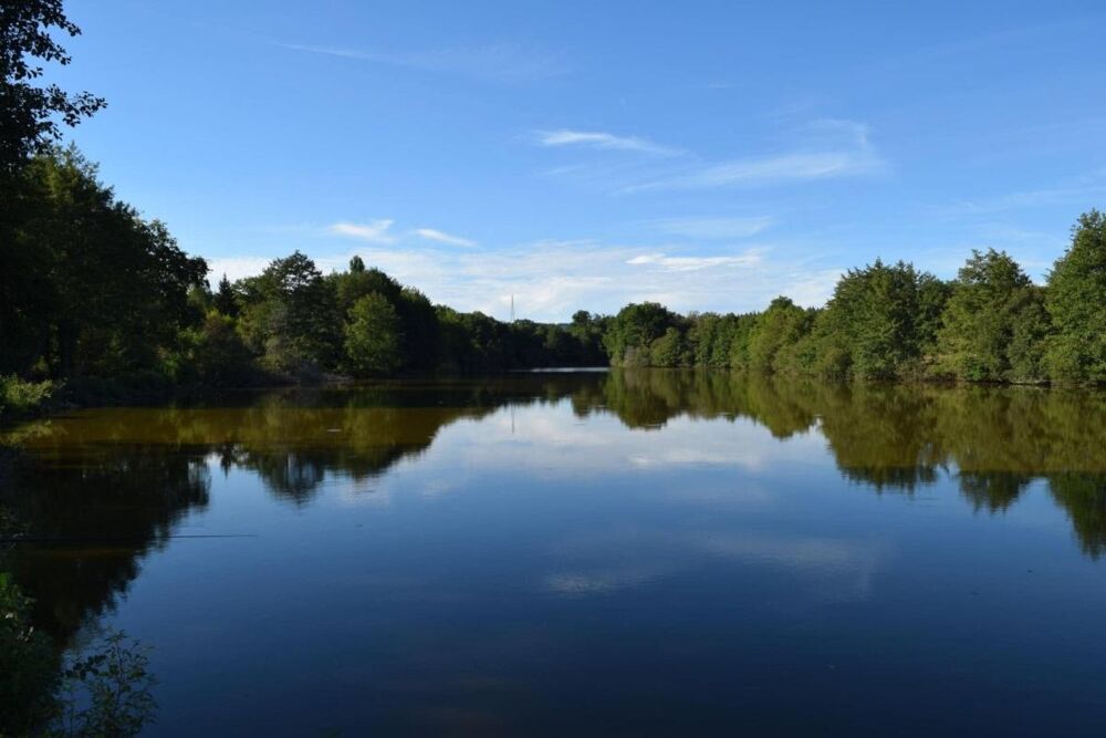 Vente Maison propriété équestre avec gîte & 14 hectares – Javerdat (Haute-Vienne) Javerdat