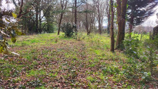  Maison � vendre 14 pi�ces 330 m�