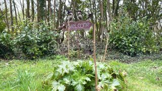  Terrain � vendre 96594 m�