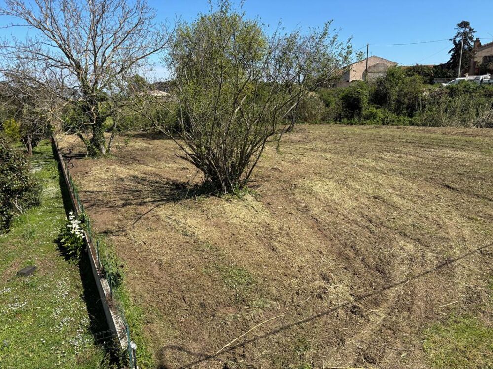 Vente Terrain TERRAIN 2700 m² NON CONSTRUCTIBLE ZONE N  EN BORD DE ROUTE Venzolasca
