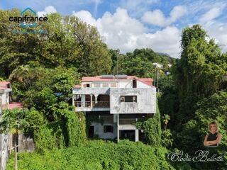  Immeuble à vendre 15 + pièces 984 m²