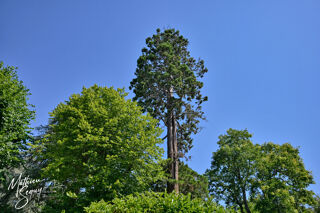  Appartement � vendre 4 pi�ces 96 m�