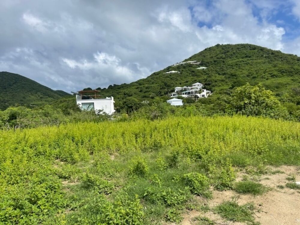 Vente Terrain Terrain à vendre  SAINT MARTIN (978) Saint martin