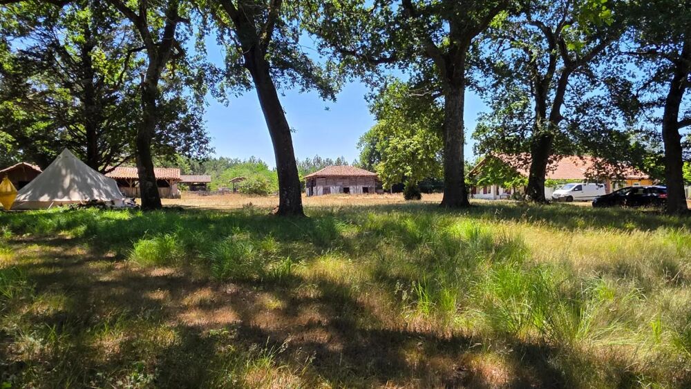 Magnifique et authentique Airial des Landes