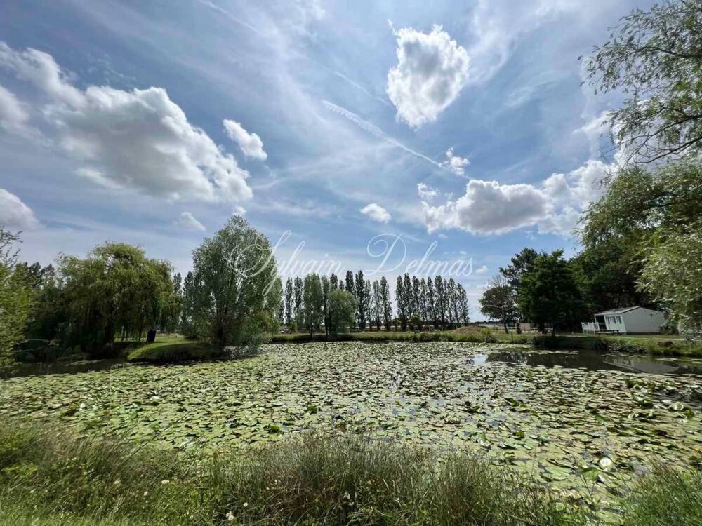 à vendre  Propriété/château Tours (37000)