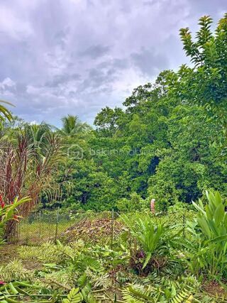  Maison � vendre 3 pi�ces 64 m�