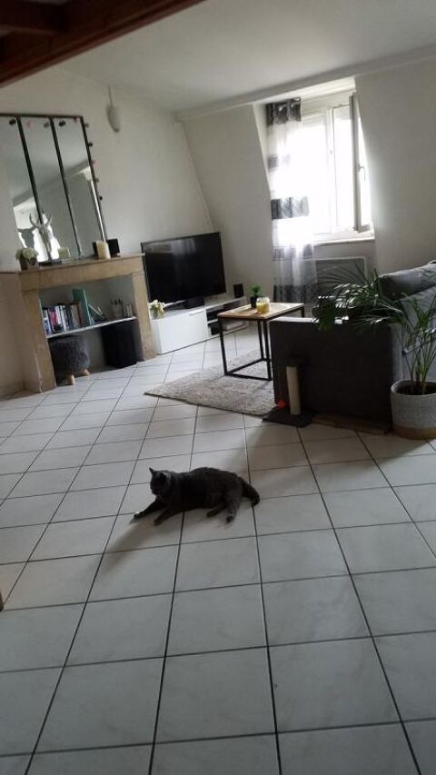  Appartement � louer 1 pi�ce 42 m�