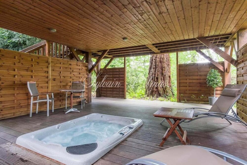 à vendre  Propriété/château Amboise (37400)