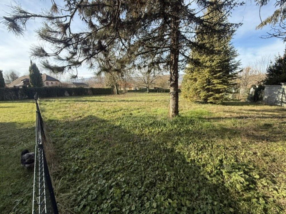 Vente Terrain LUCEY (73) TERRAIN PLAT Lucey