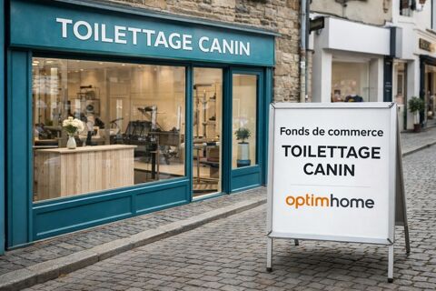 &Agrave; vendre � Salon de toilettage canin et f&eacute;lin au c�ur de Questembert 27500 56230 Questembert