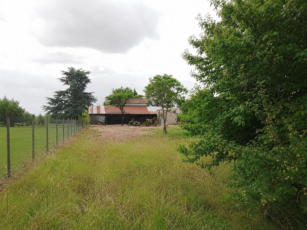 Vente Maison Maison Merignac (Charente) 4 pièce(s)  avec dépendances, 2500 m² de terrain Merignac