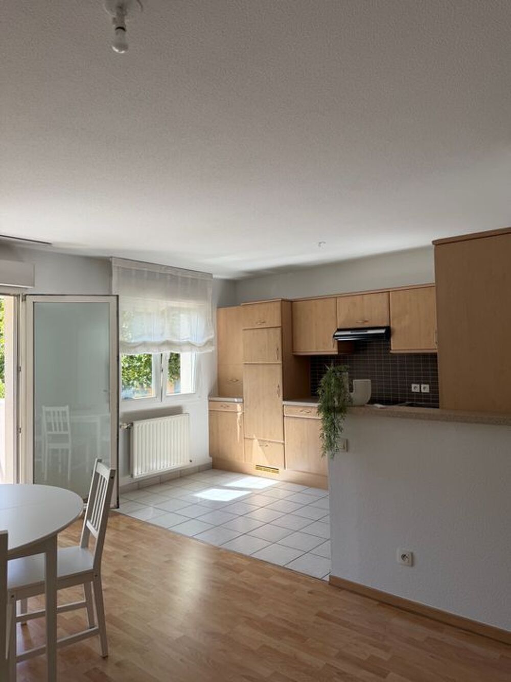 Location Appartement Appartement de 55m2 à louer sur Mulhouse Mulhouse