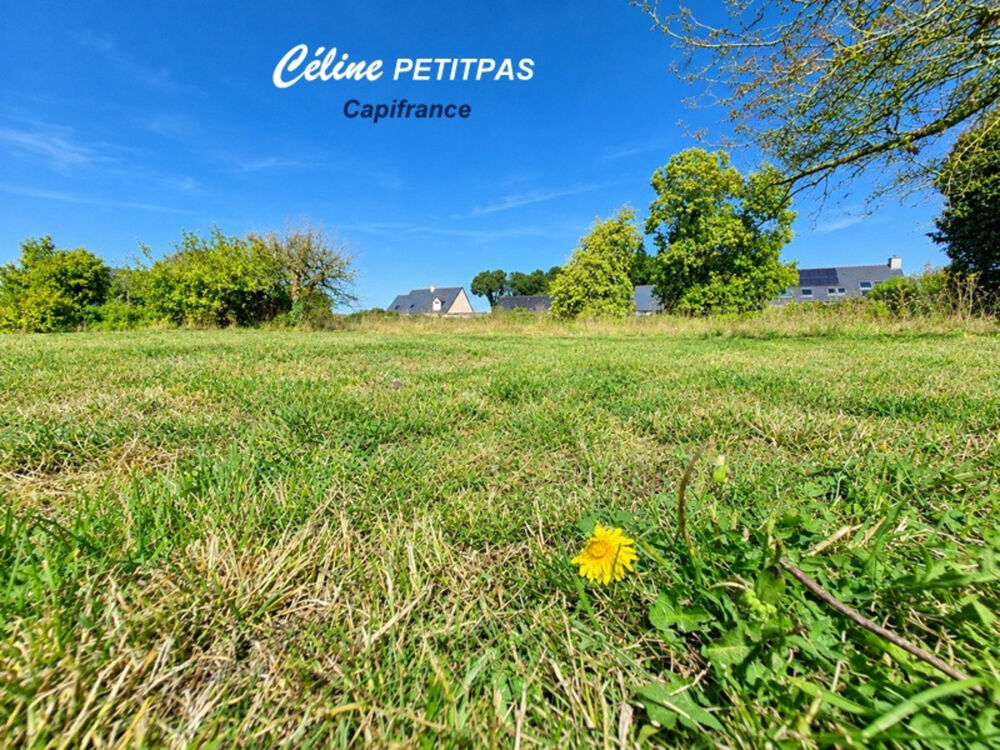 Vente Terrain Terrain constructible à vendre de 1600m² Quédillac (35) Quedillac