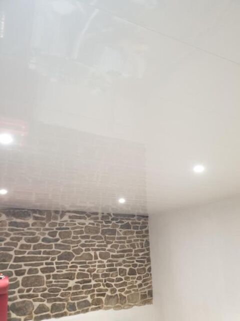  Appartement � louer 3 pi�ces 55 m�