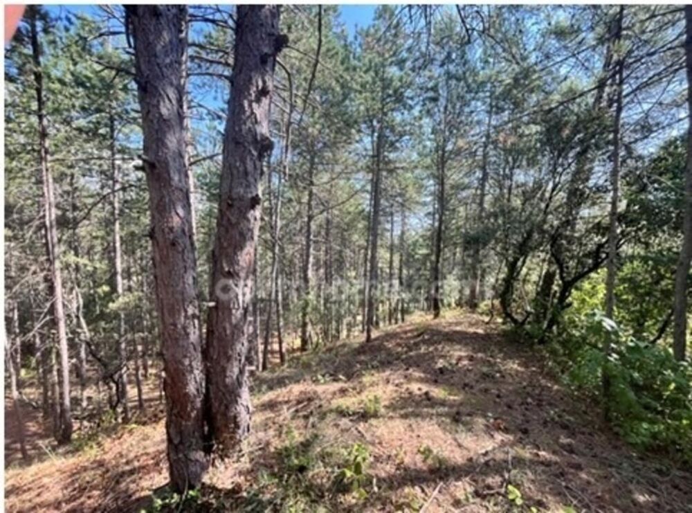 Vente Terrain Terrain à vendre de 3 577,00 m² BOURG SAINT ANDEOL (07) Bourg saint andeol