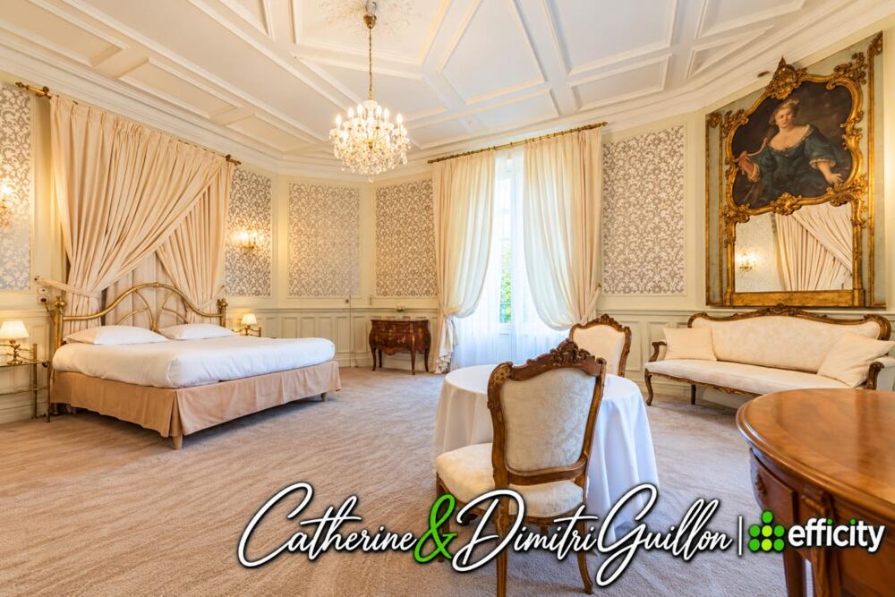 à vendre  Propriété/château Vouillé (86190)