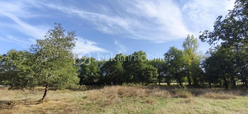 Vente Terrain TERRAIN CONSTUCTIBLE DE 2577 M2 PROCHE DE MONTAUBAN Montauban