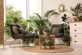  Appartement à vendre 3 pièces 67 m²