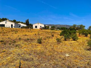  Terrain à vendre 1238 m²