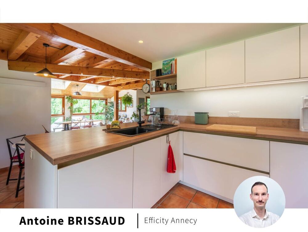 à vendre  Appartement Veyrier-du-Lac (74290)