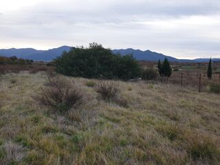  Terrain � vendre 4530 m� Banyuls dels aspres