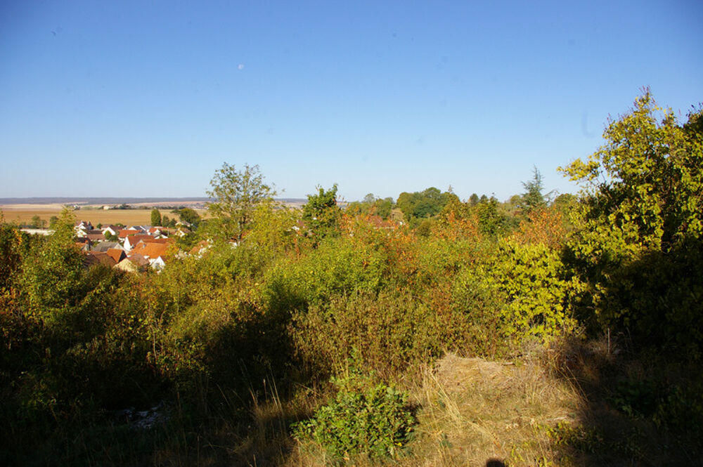 Vente Terrain GEMEAUX Terrain 692m2 Gemeaux