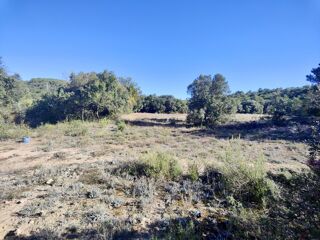  Terrain � vendre 15305 m�