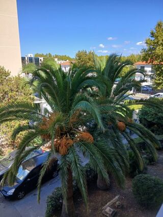  Appartement � louer 4 pi�ces 82 m�