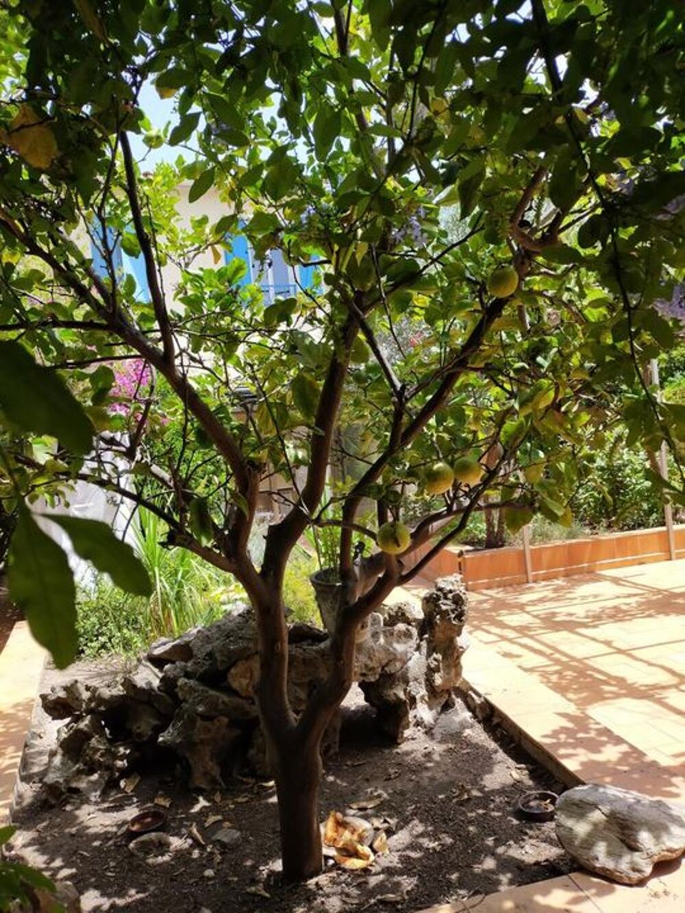 Location Appartement Chambre de 15m2 à louer sur Toulon Toulon