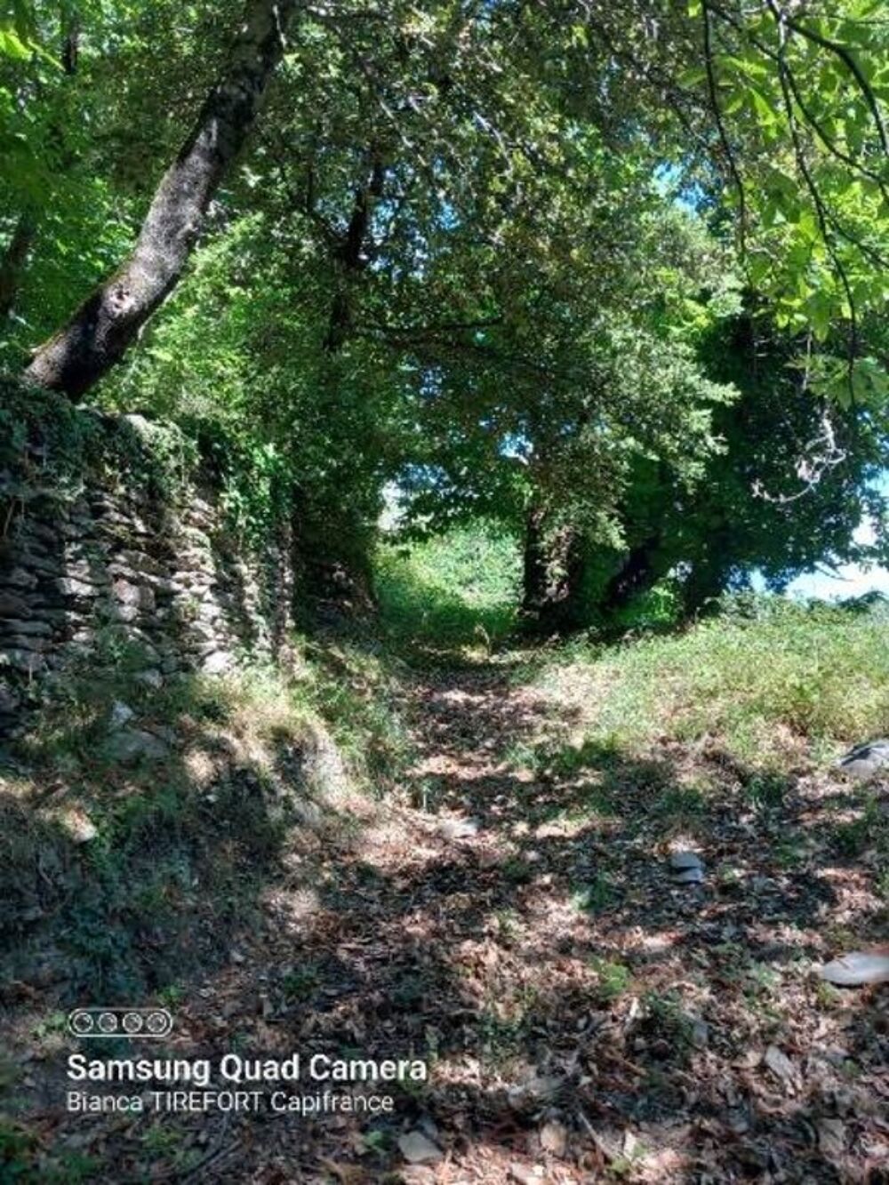 Vente Terrain Terrain à vendre avec ruine  SAINT ETIENNE VALLEE FRANCAISE (48) Saint etienne vallee francaise