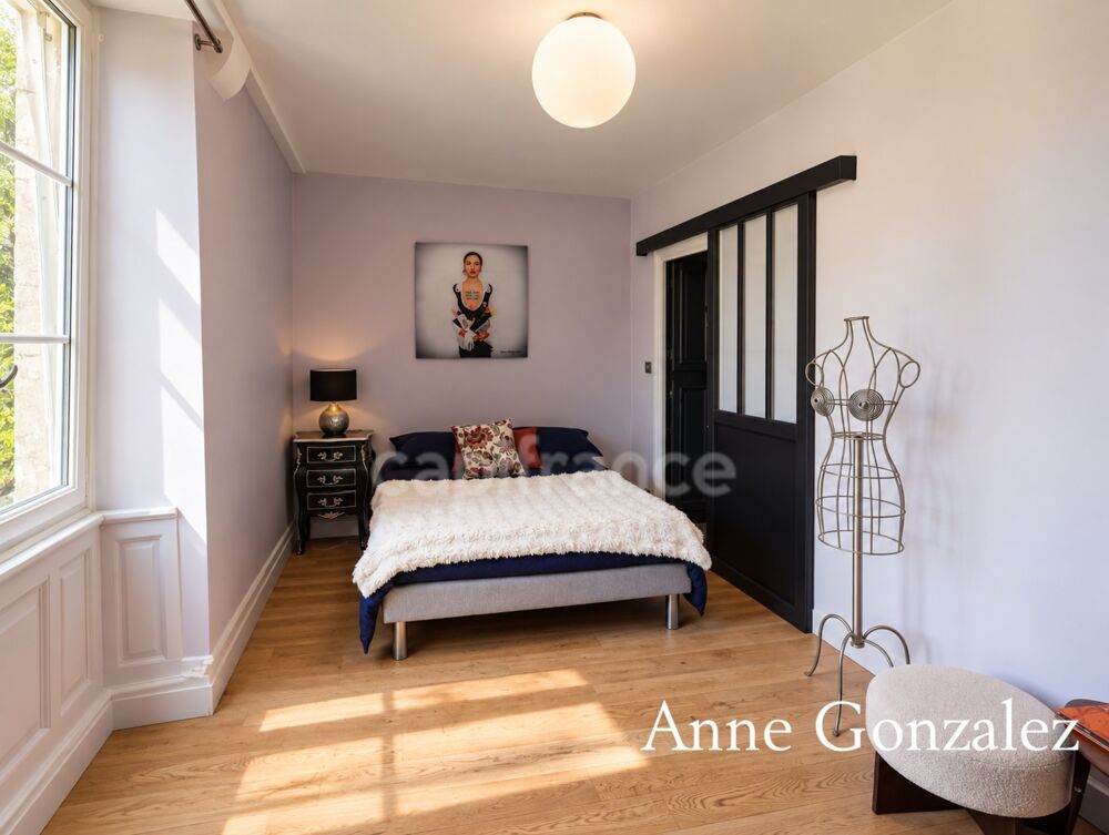 à vendre  Propriété/château Orléans (45000)