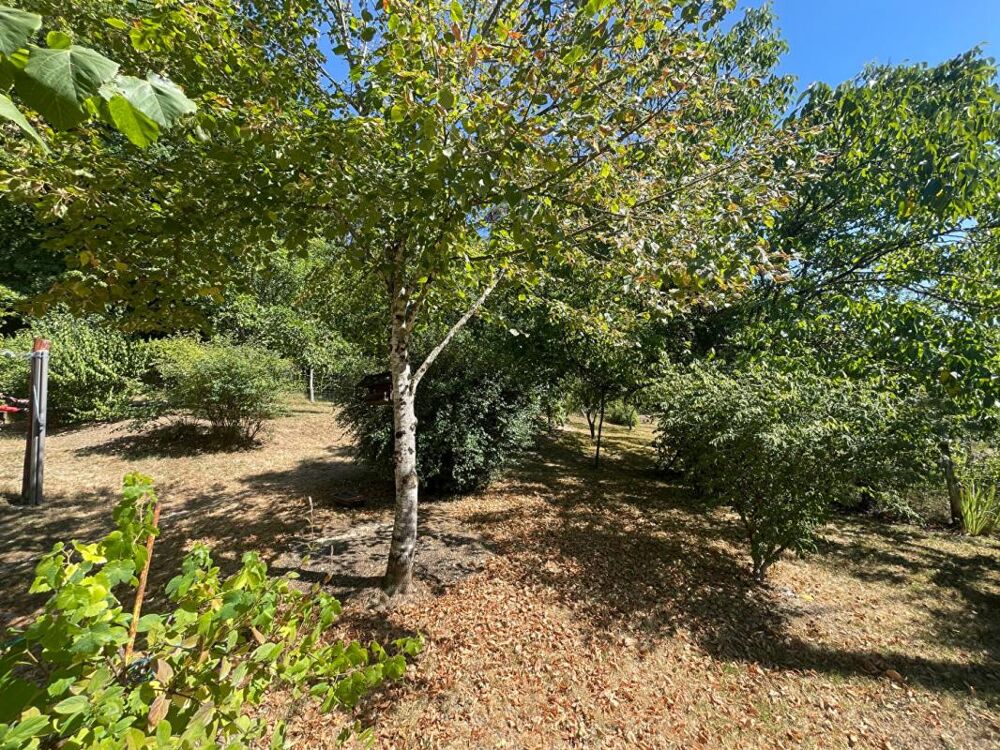 Vente Maison Maison Chateau L Eveque 4 pièce(s) 142 m2 Chateau l eveque