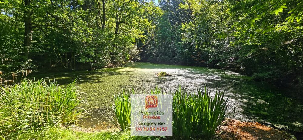 Vente Terrain Domaine Forestier 9,6 hectares La ferte sous jouarre