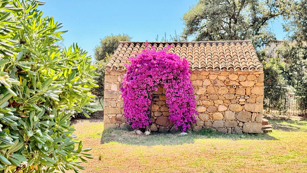 Vente Maison ECCICA-SUARELLA (Corse) : Maison T4, caseddu en pierre, garage, terrain piscinable, vue dégagée Eccica suarella