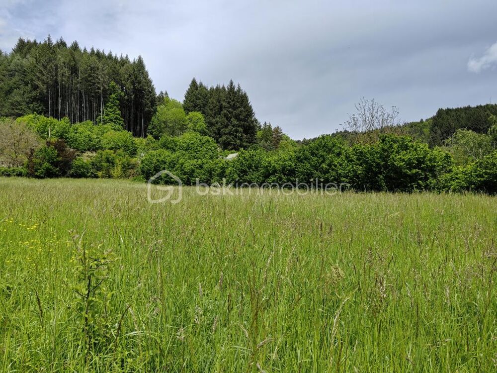 Vente Terrain Aux portes des cévennes terrain constructible Saint jean du bruel