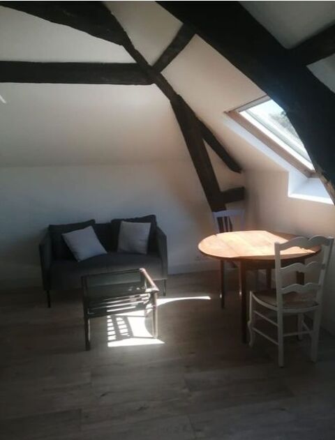   Appartement lumineux au calme Appartement - 2 pi�ce(s) - 21 m�