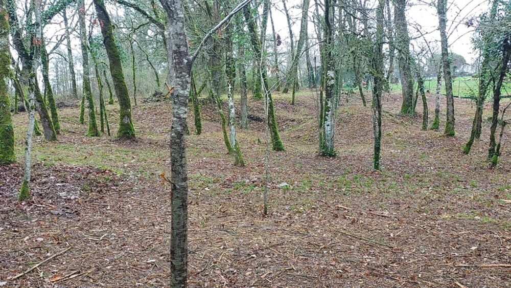 Vente Terrain Terrain à vendre de 1 255,00 m² BALADOU (46) Baladou