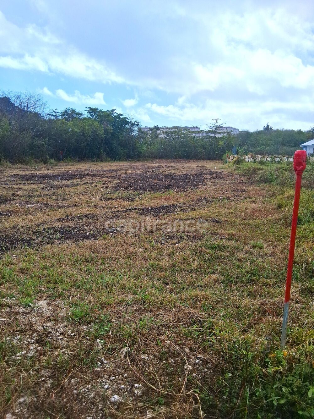 Vente Terrain Terrain à vendre  de 1811 m² sur LE MOULE (971) Le moule